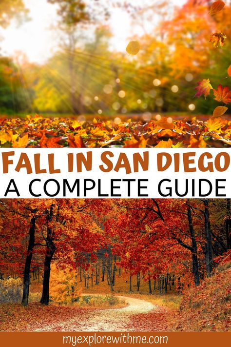 This guide to San Diego in the fall includes the best fall events in San Diego and 10 of the best things to do in San Diego in fall. Get a taste of fall in San Diego with this list of the best fall activities in San Diego California. | best things to do in san diego in the fall | san diego pumpkin patch | pumpkin patches in san diego | san diego things to do in fall | san diego in the fall | san diego fall activities San Diego Activities, San Diego Travel Guide, Vacations In The Us, San Diego Travel, Pumpkin Patches, Fall Events, Fall Activities, Fall Travel, United States Travel