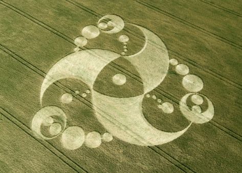 crop circle Crop Circle, Aliens And Ufos, Crop Circles, Ancient Mysteries, Alien Art, Circle Art, Ancient Aliens, Flower Of Life, Circle Design