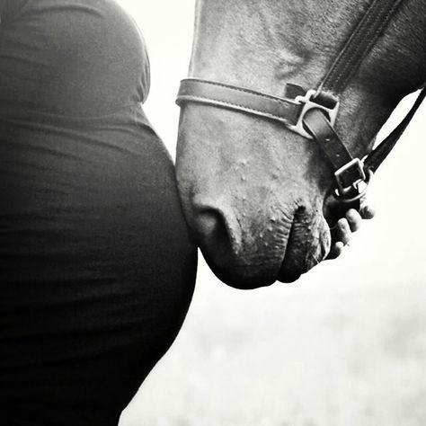 I will have a maternity shoot with the horses. Equestrian Maternity Photos, Gender Reveal Horse, Maternity Session With Horse, Maternity Pics With Horses, Pregnant Horse Photoshoot, Equine Maternity Photography, Horse Pregnancy Photoshoot, Maternity Photo With Horse, Horse Baby Announcement