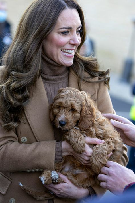 Kate Middleton and Prince William meet therapy puppy at Lancashire hospital - live updates - Photo 5