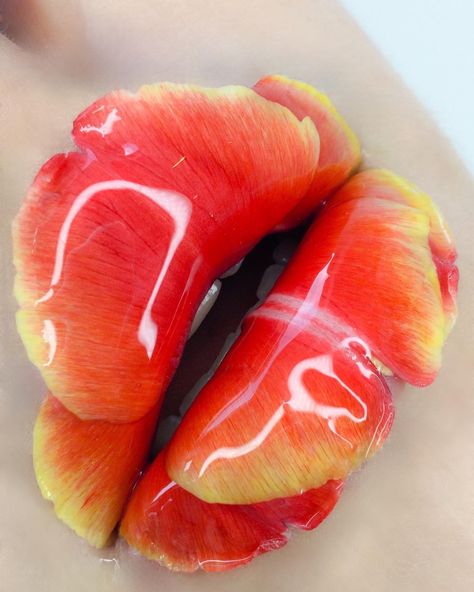 Marthamakeupartist IG Tulip Makeup, Tulips, Amsterdam, Watermelon, Makeup Looks, Fruit, Makeup, Instagram, Make Up