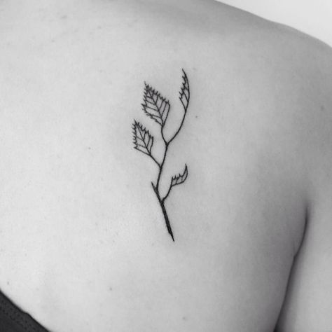 Leaf Tattoo, Tattoo Nature, Tattoo Dotwork, Chic Tattoo, Branch Tattoo, Water Tattoo, Floral Tattoos, Birch Leaf, Birch Branches