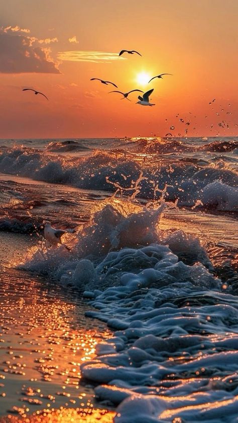 Beach Sunset Wallpaper, Beautiful Beach Pictures, Beautiful Ocean Pictures, Ocean Pictures, Sky Pictures, Pretty Landscapes, Sunset Wallpaper, Beautiful Sunrise, Beautiful Nature Wallpaper