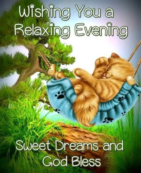 Cat Goodnight, Funny Good Night Images, Good Night Blessings Quotes, Birthday Wishes Songs, Good Night Cat, Night Love Quotes, Good Night Love Quotes, Good Night Funny, Good Night Everyone