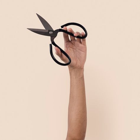 Free photo gardening tool scissor held b... | Free Photo #Freepik #freephoto #man-hand #diy #holding #man-holding Holding Scissors, Man Hand, Hand Holding, Free Photo, Free Photos, Garden Tools, A Woman, Hold On, Stock Photos