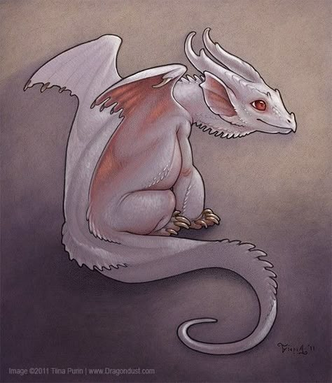 Baby Dragon Drawing, Albino Dragon, Dragon Hatchling, Baby Dragon Art, Drawing Dragon, Dragon Sketch, Pink Dragon, Dragon Pictures, White Dragon