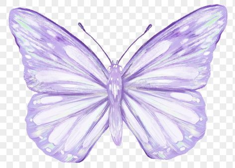 Blue Butterfly Png, Clipart Butterfly, Aesthetic Illustration, Butterfly Png, Sticker Aesthetic, Butterfly Butterfly, Png Aesthetic, Butterfly Illustration, Butterfly Clip Art