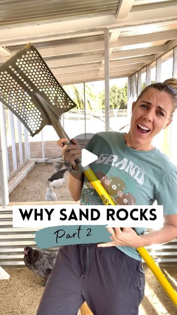 Chickens & Gardening • Lyndsey Gaskins on Instagram: "Hey friends! I compiled everyone’s questions from the first sand video and answered them below.  👉Comment “shovel” for a link to this awesome sand shovel!  •The most important thing to know when you’re buying sand for your coop is that it needs to be real coarse and gritty. If your sand is too fine, it can cause respiratory issues for your chickens.   •If you can’t find something coarse like washed construction sand at your nearby home improvement store, I always have success on Facebook marketplace. We found a local construction company that delivered ours, and they called it arena sand.   •I’ve tried a lot of different tools for cleaning the sand and this shovel is by far the best one I’ve ever used. The holes are the perfect size fo Chicken Coop Sand, Sand Video, Toddler Garden, Quail Coop, Home Garden Ideas, Chicken Poop, Clean Chicken, Chicken Coop Designs, Chicken Garden