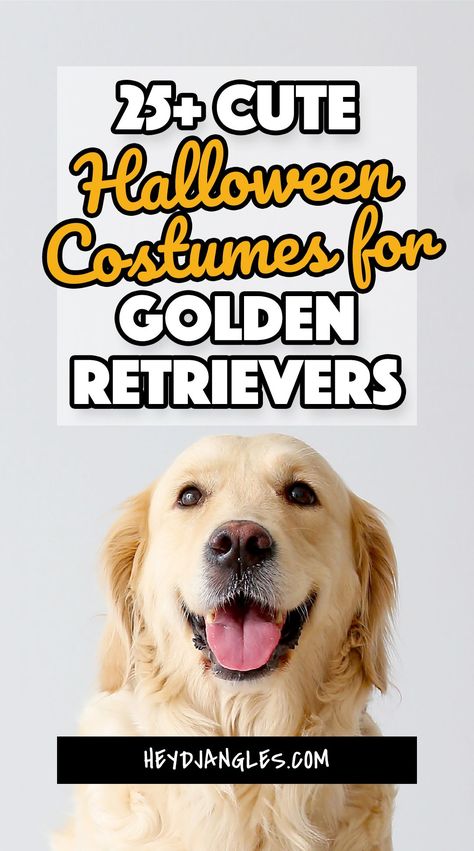 25+ Halloween Costumes for Golden Retrievers (& Labs) - From fluffy lions to action heroes in capes, scary villains, and everything in between, check out 25+ cute and spooky Halloween costumes for Golden Retrievers and Labs right here! Halloween Dog Costume Golden Retriever, Dog Halloween Costumes For Golden Retrievers, Yellow Lab Halloween Costume Ideas, Halloween Costume With Golden Retriever, Golden Retriever Halloween Costume Funny, Diy Dog Halloween Costumes Golden Retriever, Labrador Retriever Halloween Costume, Golden Retriever Costume Ideas, Lion Dog Costume With Owner