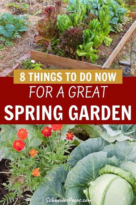 Spring Vegetable Garden, Spring Vegetables, Healthy Garden, Organic Gardening Tips, Growing Fruit, Garden Pests, Veggie Garden, Growing Food, Gardening For Beginners