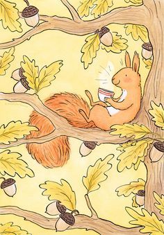 How To Draw A Squirrel, Cartoon Squirrel Drawing, Easy Squirrel Drawing, Squirrels Illustration, Squirrel Sketch, Acorn Drawing, Squirrel Drawing, Squirrel Illustration, Dreamy Artwork