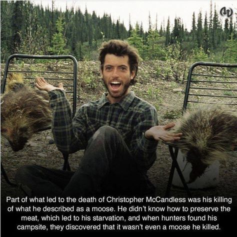 Everything That Had To Go Wrong For Chris McCandless To Meet His Fate Chris Mccandless Quote, Christopher Mccandless Quotes, Chris Mccandless, Jon Krakauer, Chris Carmack, Christopher Mccandless, Wild Movie, Cole Swindell, Wild Camp