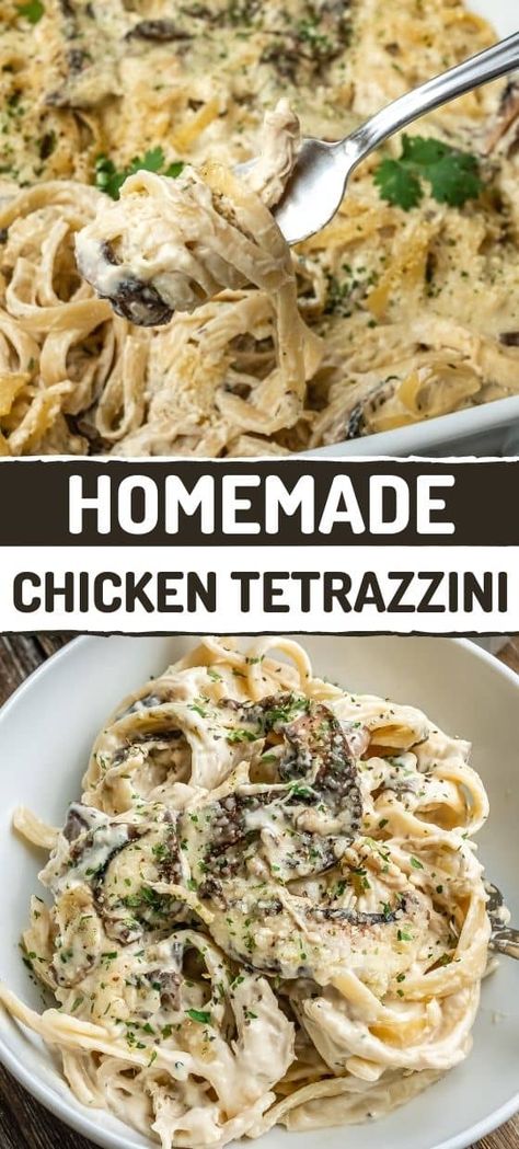 Easy Chicken Tetrazzini Crockpot Chicken Tetrazzini Easy, Easy Chicken Tettrazini, Vegan Chicken Tetrazzini, Chicken Tetrazzini With Mushrooms, Chicken Tetrazinni Recipes Easy, Million Dollar Chicken Tetrazzini, Chicken Tetrazzini Without Canned Soup, Chicken And Mushroom Tetrazzini, Chicken Tetrazzini With Cream Cheese