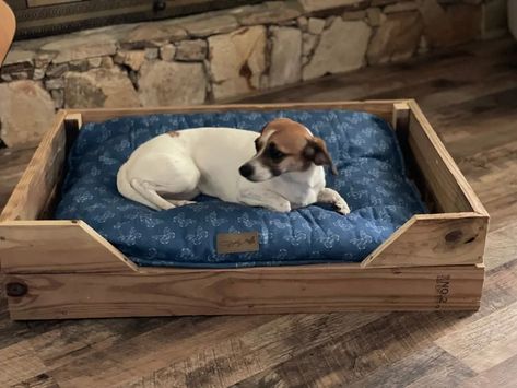 This handmade wooden dog bed is crafted from reclaimed wood, giving it a unique, rustic charm. Each piece of wood is carefully selected and repurposed to create a sturdy, eco-friendly frame. The bed features a natural finish that highlights the wood's inherent beauty and grain patterns, ensuring no two beds are alike. Designed for both comfort and durability, it provides a cozy retreat for your dog while adding a touch of warmth and character to your home. Check out all our listings on Etsy W... Wooden Dog Bed, Diy Dog Bed, Wooden Dog, Diy Dog Stuff, Handmade Wooden, Dog Bed, Rustic Charm, Reclaimed Wood, Grain