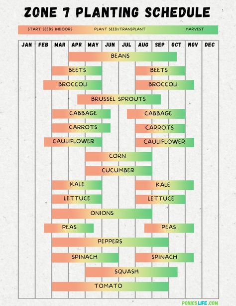 Zone 7 Planting Schedule, Aeroponics Diy, Gardening Schedule, Broccoli And Brussel Sprouts, Planting Schedule, Home Hydroponics, Plant Hardiness Zone Map, Aquaponics Diy, Planting Calendar