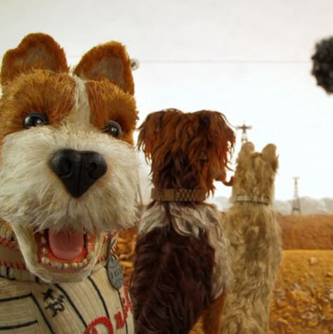 Isle Of The Dogs, Dog Trailer, Berlin Film Festival, Wes Anderson Movies, Wes Anderson Films, Dog Movies, South By Southwest, Isle Of Dogs, Bryan Cranston