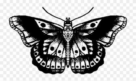 Tatuajes Harry Styles, Vintage Butterfly Tattoo, Harry Styles Butterfly, Harry Tattoos, Butterfly Black And White, Harry Styles Tattoos, Tattoo Templates, Moth Tattoo, Butterfly Tattoo Designs