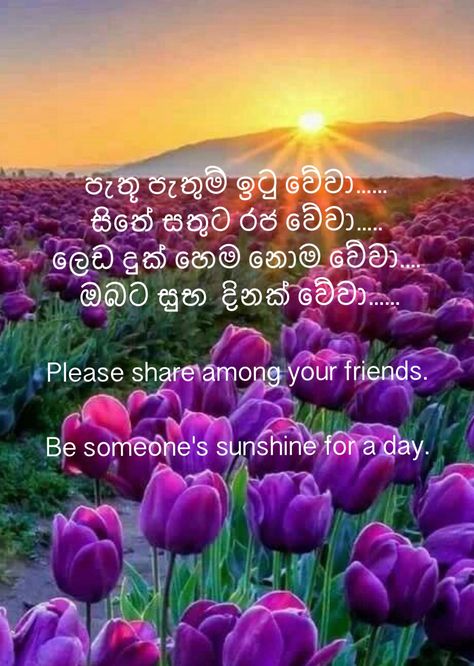 Good Morning Sinhala Wishes, Hands Clasped Together, Good Morning Rose Gif, සිංහල අලුත් අවුරුදු Wishes Sinhala, Fake Love Quotes, How To Say Hello, Beautiful Good Morning Wishes, Good Night Wishes In Tamil, Rose Gif