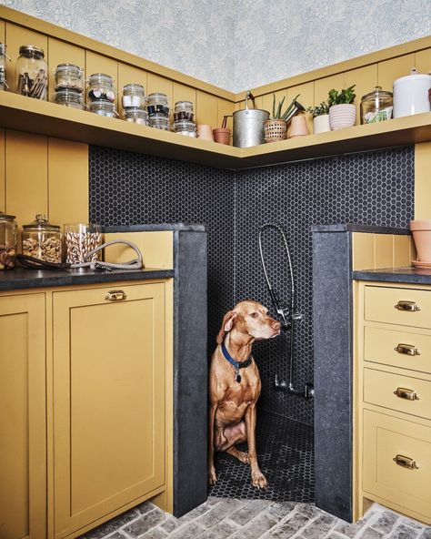 Farrow & Ball on Instagram: "This #IndiaYellow utility room complete with dog shower has certainly raised the bar as a multi-functional yet beautiful space. 📷…" Most Popular Paint Colors, Dog Washing Station, Farrow And Ball Paint, Dog Wash, Dog Rooms, Dog Shower, Brick Flooring, Boot Room, Dog Bath