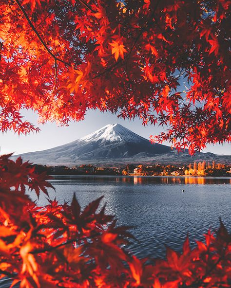 Gunung Fuji, Kolam Air, Japan Autumn, Fuji Mountain, Monte Fuji, Visit Tokyo, Japan Landscape, Mont Fuji, Japanese Photography