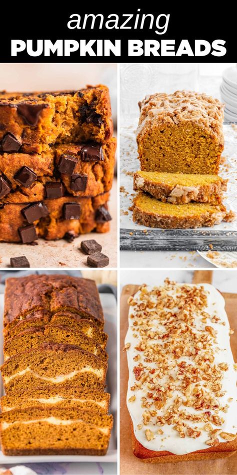 four different pumpkin breads Pumpkin Bread With Streusel Topping, Pumpkin Bread With Chocolate Chips, Pumpkin Bread Recipes, The Best Pumpkin Bread, Pumpkin Cranberry Bread, Chocolate Pumpkin Bread, Best Pumpkin Bread, Best Pumpkin Bread Recipe, Pumpkin Chip