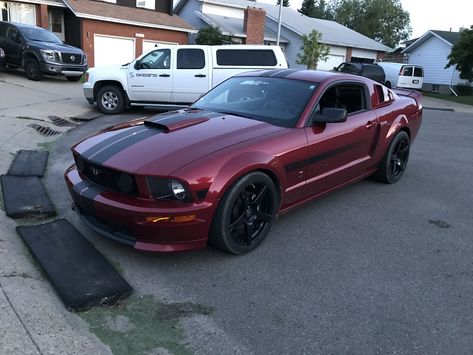 V6 Mustang, 2007 Mustang Gt, 2008 Mustang, Mustang 2007, 2007 Mustang, Mustang Custom, Gt Mustang, 2006 Ford Mustang, 2005 Ford Mustang