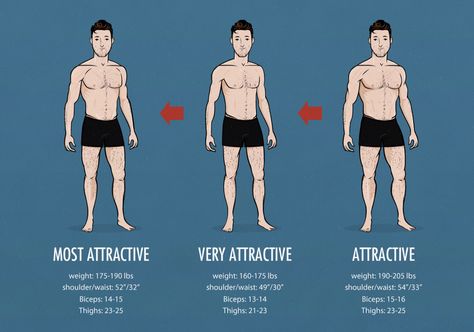 Male body types Male Model Body, Mens Body Types, Ideal Male Body, Popular Workouts, Body Proportions, Male Physique, Model Body, Weight Training, Male Body