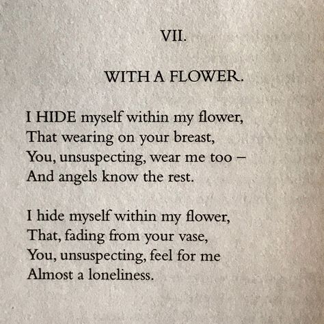 Emily Dickinson Love Poems, Emily Dickinson Poems Love, Emily Dickinson Poems Love Poetry, Emily Dickinson Letters To Sue, Emily Dickinson Poems To Sue, Emily Dickinson Sapphic Poems, Hope Poem Emily Dickinson, Emily Dickinson Books, Spring Poetry