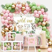 Wild One Birthday Decorations, First Birthday Decorations Girl, Baby First Birthday Themes, Baby Birthday Party Theme, Monthly Photo Banner, 1st Birthday Girl Decorations, Crown Pink, Baby Birthday Decorations, Baby Birthday Themes