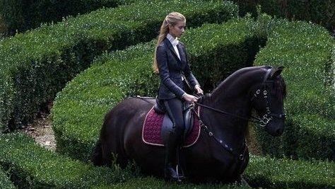 𝐤𝐡𝐢𝐫𝐚 on Twitter: "… " Equestrian Aesthetic, Super Rich Kids, Trust Fund, Rich Kids, Sporty And Rich, Riding Outfit, Old Money Aesthetic, New Energy, Horse Girl