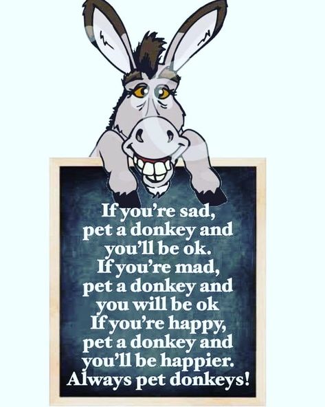 Donkey Listener’s Instagram profile post: “#truth💯 no matter what, I feel better after hanging out and petting my donkeys 🥰🥰🥰 who else? 🌺 #donkeyday #fortheloveofdonkeys #donkeymemes…” Donkey Quotes Funny, Donkey Pen, Donkey Pics, Pet Donkey, Mini Donkeys, Train Tattoo, Donkey Funny, Animals Doing Funny Things, Mini Donkey