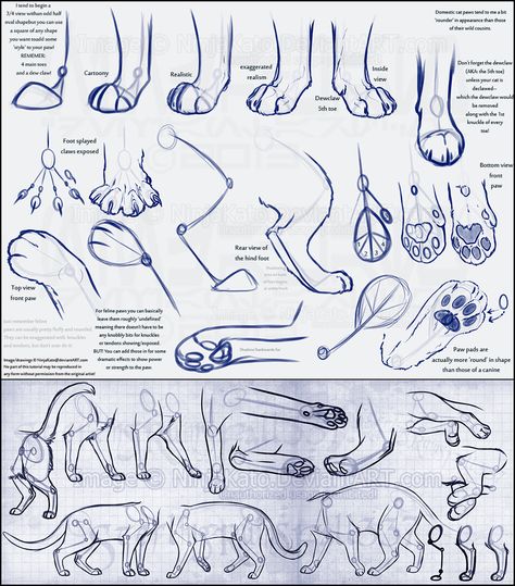 (138 images) Drawing references and tutorals - drawings post - Imgur Feline Anatomy, Paw Drawing, Drawing Legs, Cat Drawing Tutorial, Cat Anatomy, Warrior Cat Drawings, Cat Sketch, 강아지 그림, Warrior Cats Art