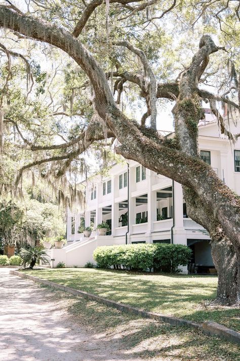 Intimate spring Cumberland Island wedding Cumberland Island Wedding, Haint Blue, Cumberland Island, Camp Wedding, 100 Layer Cake, Matron Of Honour, Georgia Wedding, Micro Wedding, Maybe One Day