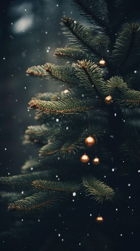 Spruce tree christmas winter plant.  | premium image by rawpixel.com / Pinn Green Christmas Phone Wallpaper, Dark Academia Christmas Aesthetic, Christmas Wallpaper Black, Green Christmas Wallpaper, Vintage Christmas Wallpaper, Iphone Wallpaper Christmas, Bokeh Wallpaper, Christmas Background Iphone, Number Wallpaper