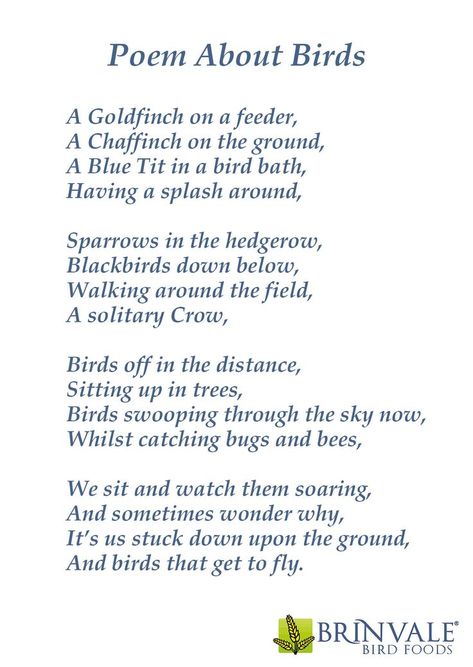 Poem About Birds, Bird Poems Poetry, Poems About Birds, Chill Quotes Good Vibes, Poems About Animals, Bird Poetry, Metaphor Poems, Preschool Movement, Bird Poems