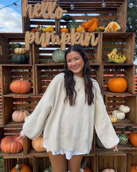 All Posts • Instagram Fall Sweater Aesthetic, Pumpkin Patch Outfits, Sweater Fall Outfits, Grey Bandit, Eclectic Chic, Patch Sweater, Sweater Outfit, Fall Fits, Causual Outfits