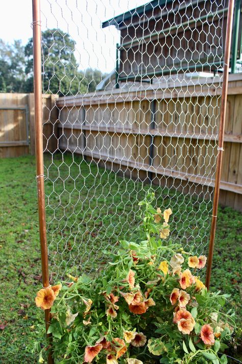 Garden Climbers Trellis, Garden Diy Fence, Lattice In The Garden, Trellis Netting Ideas, Inexpensive Trellis Ideas, Upcycled Trellis Ideas, Easy Garden Trellis Ideas, Trellis Chicken Coop, Simple Trellis Diy