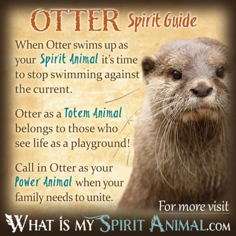 Otter Spirit Totem Power Animal Symbolism Meaning 1200x1200 What Is My Spirit Animal, Native American Animal Symbols, Animal Totem Spirit Guides, Spirit Animal Quiz, Native American Zodiac, Native American Animals, Symbolism Meaning, Spirit Animal Meaning, Native American Totem