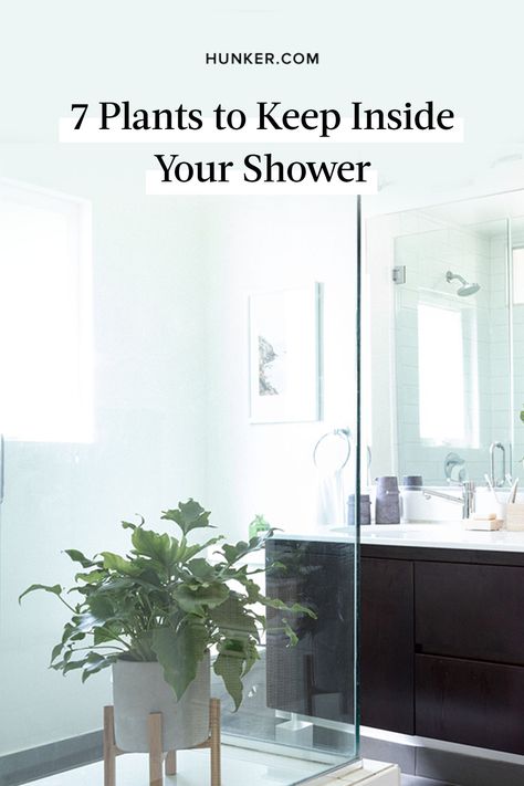 Bathroom plants improve the bathroom air quality, absorb excess moisture, eliminate bacteria, and — best of all — transform the shower stall into a spa-like space of serenity and calm. #hunkerhome #plants #shower #showerplants #spa Wet Room Bathroom Plants, Best Spa Bathrooms, Indoor Shower With Plants, Bathroom Plant Shelf Ideas, Plants In Wet Room, Plants Inside Shower Ideas, Plants In Shower Ideas Modern, Decorate Shower Bathroom, Bathroom Shower Plants Ideas