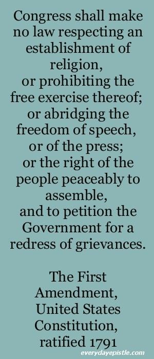 Country Images, Strong Work Ethic, Constitution Of The United States, Branches Of Government, Fact Or Fiction, Interesting Thoughts, 1st Amendment, First Amendment, Personal Responsibility