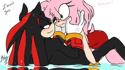 Amy X Shadow, Rosé Sleeping, Shadow X Amy, Sonic X Amy, Shadow And Amy, Amy The Hedgehog, Sonic Ships, My Comfort Characters, Sonic Friends