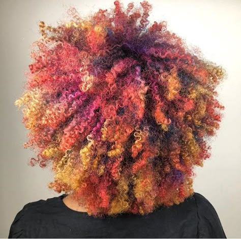 Autumn fall multi tone dyed curly afro #curls #naturalhair Multi Colored Dyed Hair, Mixed Curly Hair Dye Ideas, Calico Hair Curly, 4c Hair Color Ideas, Dyed Afro Hair 4c, Coloured Afro, Dyed 4c Hair, Afro 4c Hairstyles, Dyed Afro