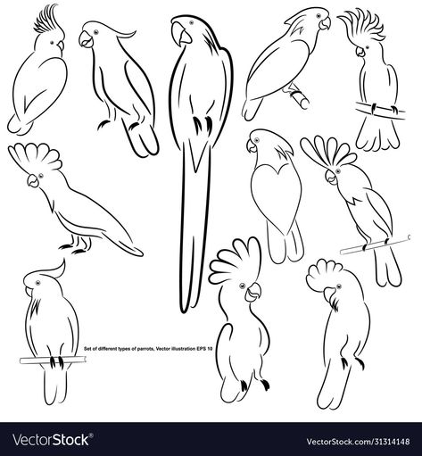 Types Of Parrots, Zoo Logo, Sketch Outline, Parrot Tattoo, Animal Images, Pet Logo Design, Hand Embroidery Projects, Tattoo Outline, Animal Logo