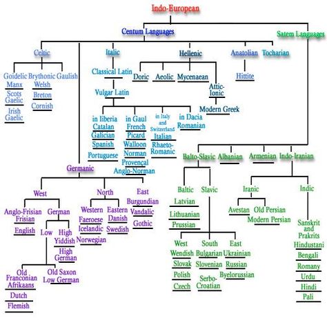 The main divisions of the Indo-European Group.    Many languages that we today find to be very different are in fact descended from the same original root language,     English, along with many of the languages of Europe, parts of Asia, and India are descendants of the same common ancestor language spoken perhaps 7,000 to 9,000 years ago: Proto-Indo-European (PIE). Language Tree, Language Map, Sign Language Phrases, Human Migration, British Sign Language, Language Families, Ancient Languages, Shri Hanuman, Writing Systems