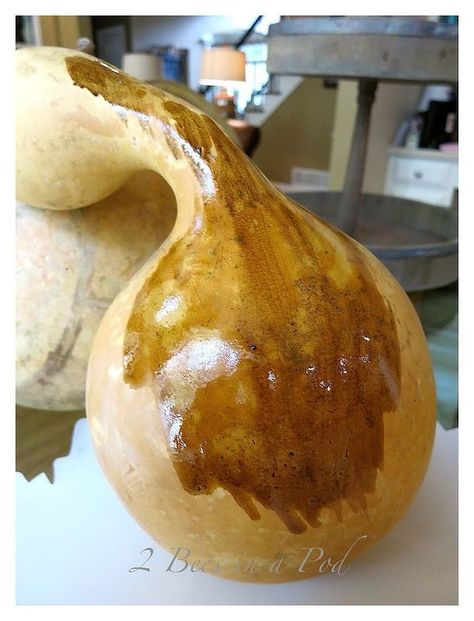 how to stain natural gourds fall decor Painting Gourds, Gourds Diy, Football Pumpkin, Natural Fall Decor, Gourd Painting, Birdhouse Gourds, Fall Gourds, Gorgeous Gourds, Oh My Gourd