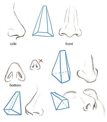 Types Of Nose, Menswear Design, رسم كاريكاتير, 얼굴 드로잉, Nose Drawing, Human Anatomy Drawing, 얼굴 그리기, Human Figure Drawing, Human Anatomy Art