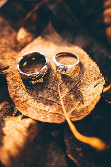 Ring Photoshoot, Engagement Ring Photography, Fall Engagement Shoots, Wedding Ring Photography, Groom Photoshoot, Ring Photography, Jewelry Product Shots, Creative Jewelry Photography, Engagement Photography Poses