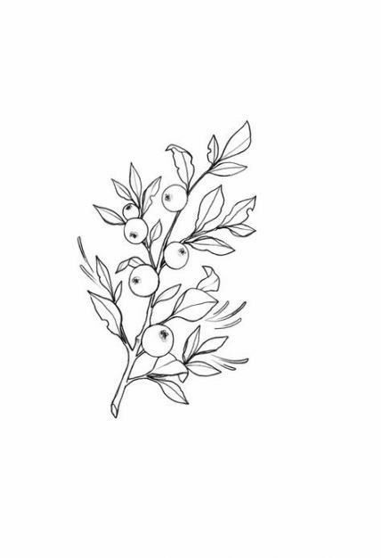 Fruit Sketch, Botanical Line Drawing, Flower Drawing Design, Doodle Tattoo, Flower Sketches, Floral Drawing, Trendy Flowers, Botanical Drawings, Tattoo Design Drawings