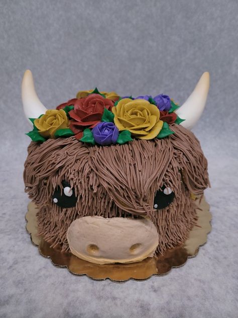 Georgia Cake, Highland Cow Cake, Owl Cake Birthday, Horse Cakes, Highlander Cow, Chocolate Cow, Birthdays Cakes, Homemade Icing, Cow Cake