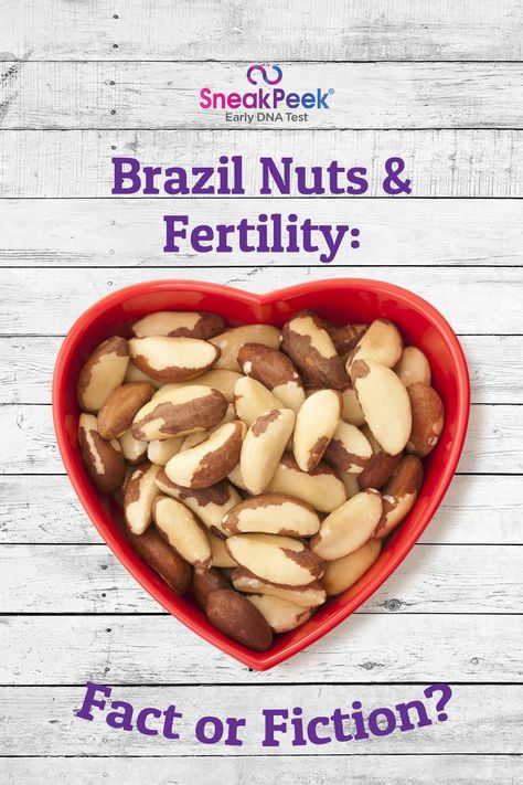 Nutrition For Fertility, Brazil Nuts Benefits For Women, Co Q 10 Benefits Fertility, Brazil Nuts Benefits, Brazil Nuts Fertility, Nut Benefits, Vegan Lentil Soup Recipes, Fertility Smoothie Getting Pregnant, Prenatal Vitamins Benefits Not Pregnant